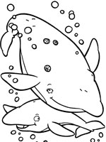 Coloriage de Baleine et son baleineau