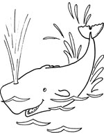 Coloriage de Baleine