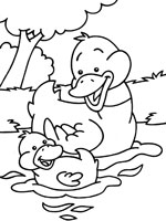 Coloriage de Canard et caneton