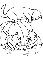 Coloriage de Chatons