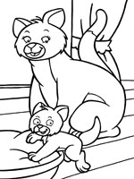 Coloriage de Chatte et son chaton