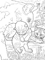 Coloriage de Chatte et ses chatons