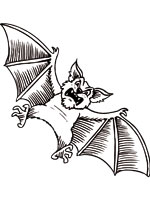 Coloriage de Chauve-souris