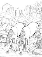 Coloriage de Chevaux s'abreuvent près d'une rivière