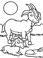 Coloriage de Chèvre et chevreau