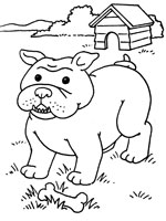 Coloriage de Bulldog