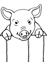 Coloriage de Cochon