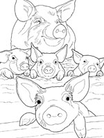 Coloriage de Porc, truie et porcelets