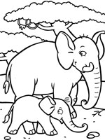 Coloriage de Eléphant et son éléphanteau