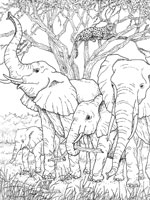 Coloriage de Troupeau d'éléphants