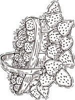 Coloriage de Barquette de fraises