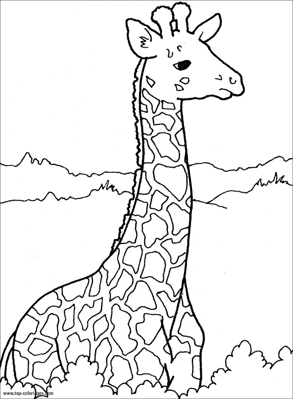 Coloriage Girafe