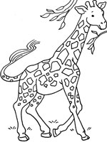 Coloriage de Girafon