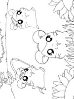 Coloriage de Hamtaro, Chapo et Tigrette