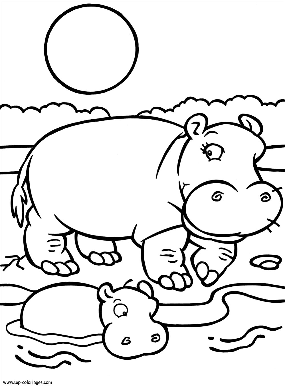 Coloriage Bébé hippo