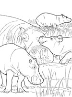 Coloriage de Famille d'hippopotames