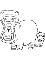 Coloriage de Gueule d'un hippopotame