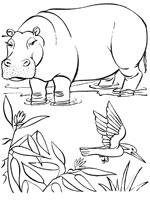 Coloriage de Hippopotame