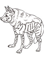 Coloriage de Hyène rayée