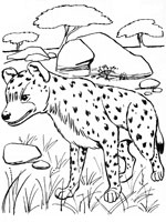 Coloriage de Hyène dans la savane