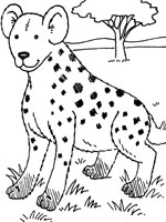 Coloriage de Jeune hyène