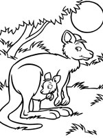 Coloriage de Kangourou et son bébé