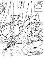 Coloriage de Lionne et ses lionceaux