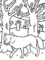 Coloriage de Loup