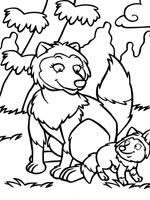 Coloriage Loup sur Top Coloriages  Coloriages loup