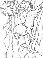 Coloriage de Aslan le lion