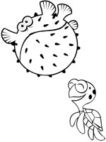 Coloriage de Boule et Squiz