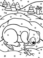 Coloriage de Ours qui hiberne