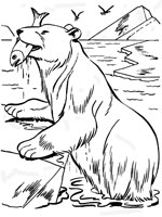 Coloriage Ours sur Top Coloriages  Coloriages ours