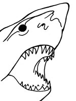 Coloriage Requin sur Top Coloriages  Coloriages requin