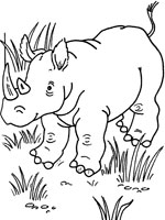 Coloriage de Bébé rhinocéros
