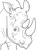 Coloriage de Cornes de rhinocéros