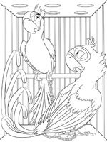 Coloriage de Blu et Perla en cage