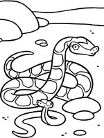 Coloriage de Serpent et son serpenteau
