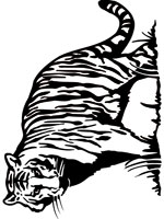 Coloriage de Tigre