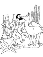 Coloriage de Le Capitaine Haddock attaqué par un lama