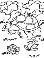 Coloriage de Tortue et son bébé