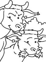 Coloriage de Vache et taureau