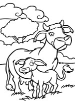 Coloriage de Vache et son veau