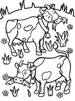 Coloriage de Vaches