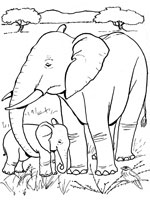 Coloriage de Eléphant et son éléphanteau