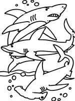 Coloriage de Requin marteau