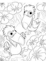 Coloriage de Rafael et Eva les toucans