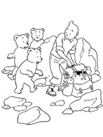 Coloriage de Tintin et des oursons