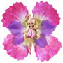 Coloriage de Barbie Lilipucia